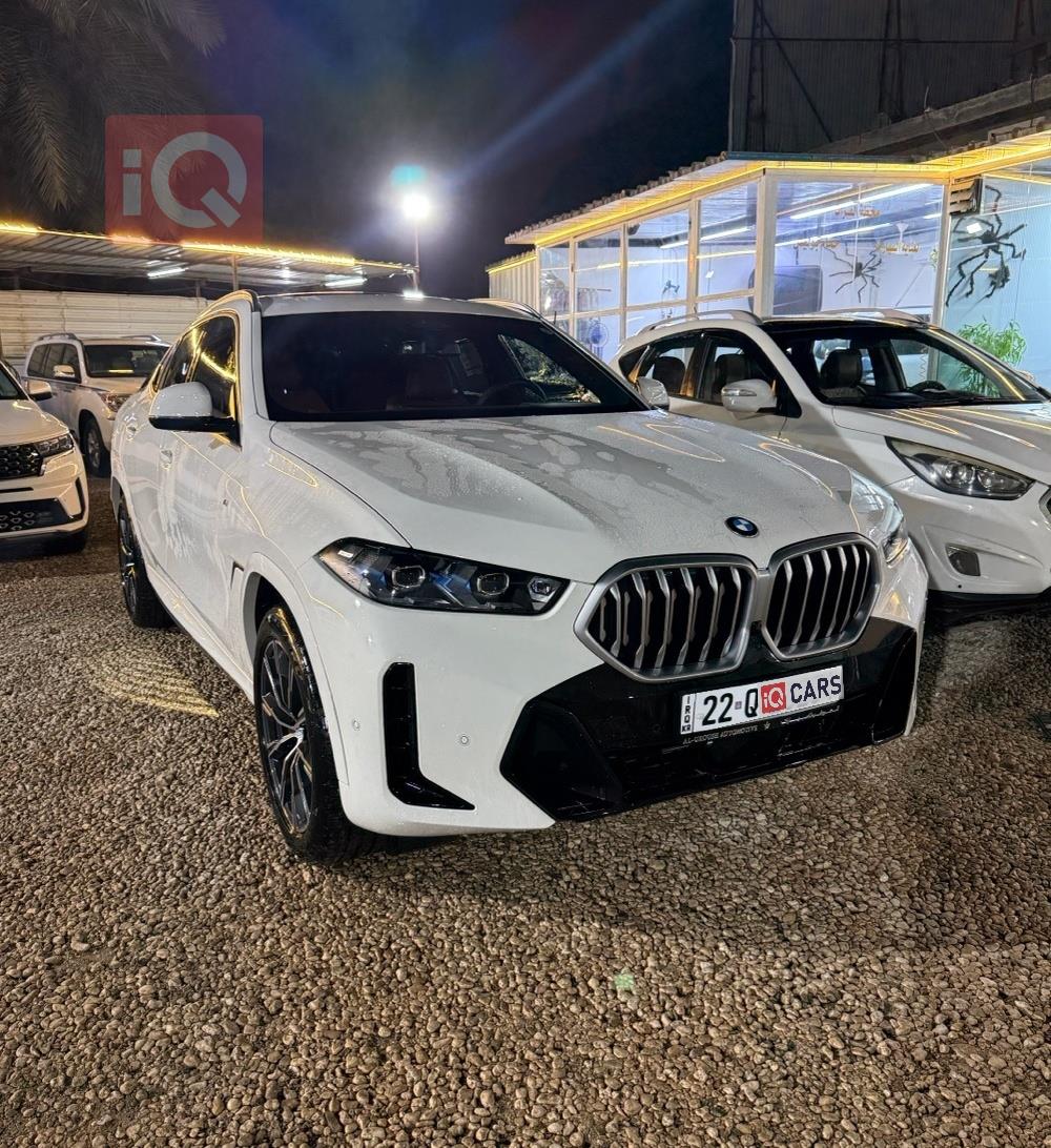 BMW X6